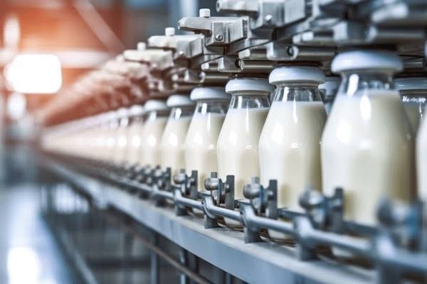 Juhanya Dairy Manufacturing